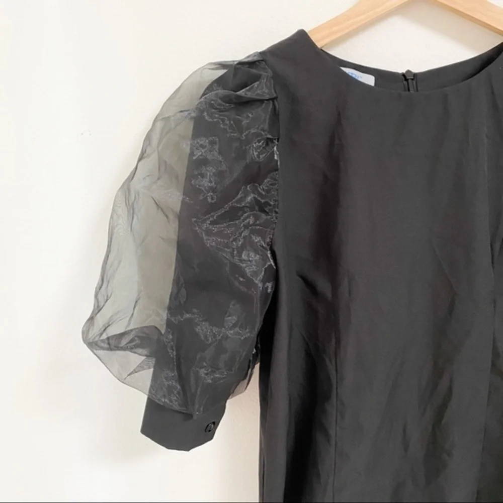 Black with sheer puffy sleeves top blouse